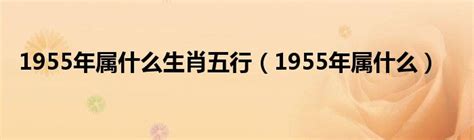 1955年属什么